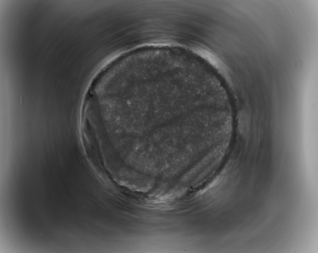 X0000088031229200706081455