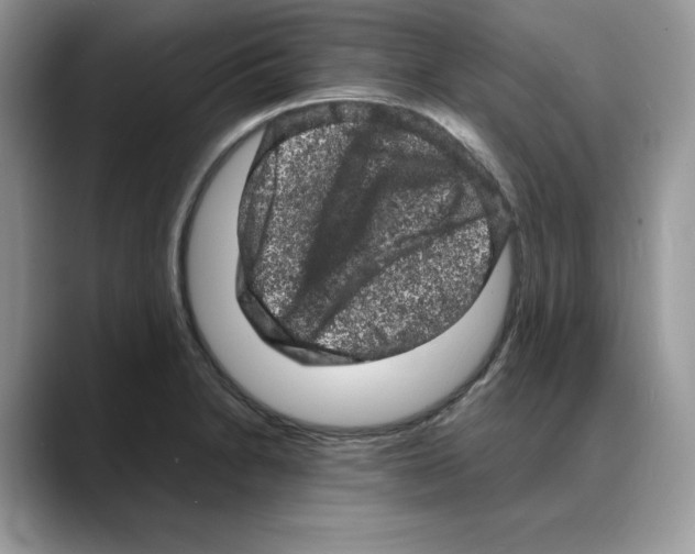 X0000088031230200706081455