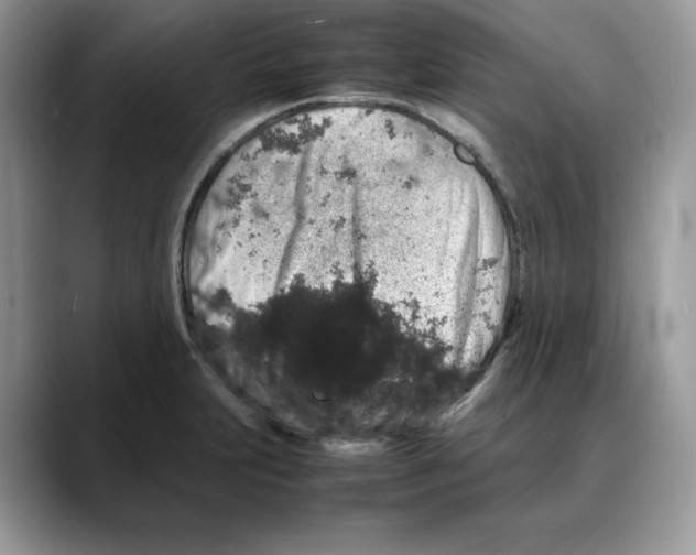 X0000088031231200706081455