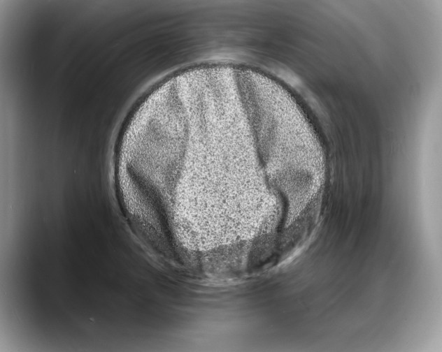 X0000088031232200706081455