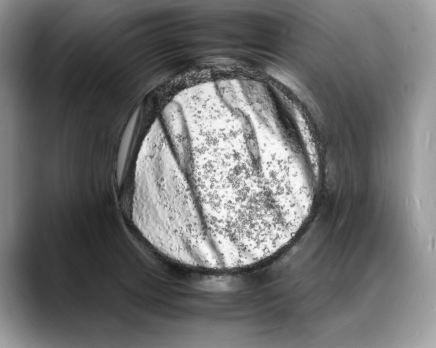 X0000088031233200706081455