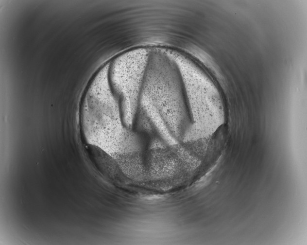 X0000088031234200706081455