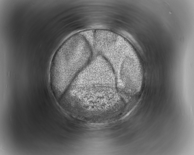 X0000088031236200706081455