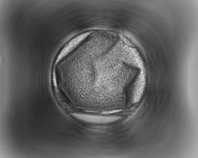 X0000088031237200706081455