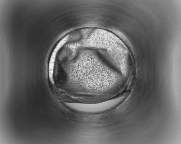 X0000088031238200706081455