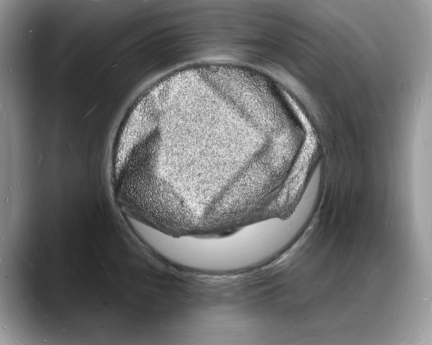 X0000088031240200706081455