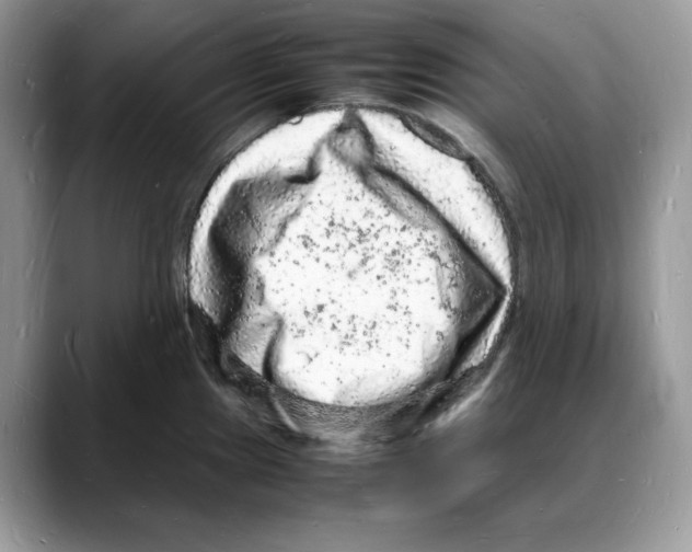 X0000088031241200706081455