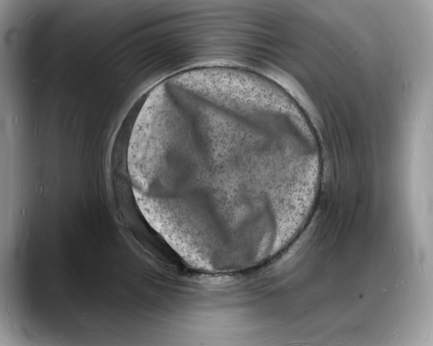 X0000088031242200706081455