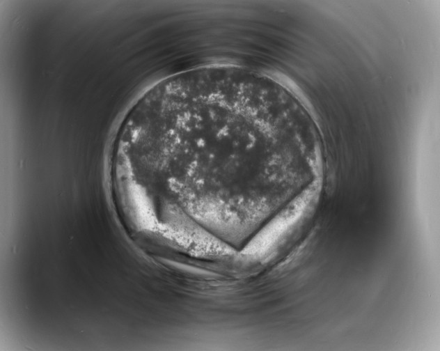 X0000088031243200706081455