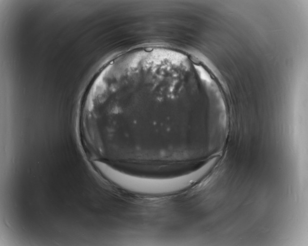 X0000088031245200706081455