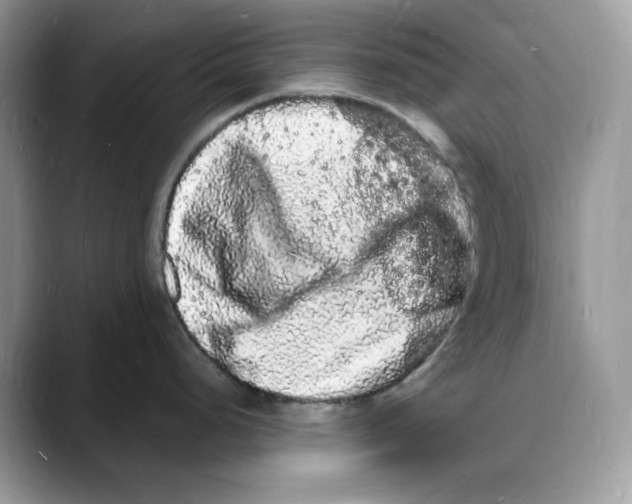 X0000088031248200706081455