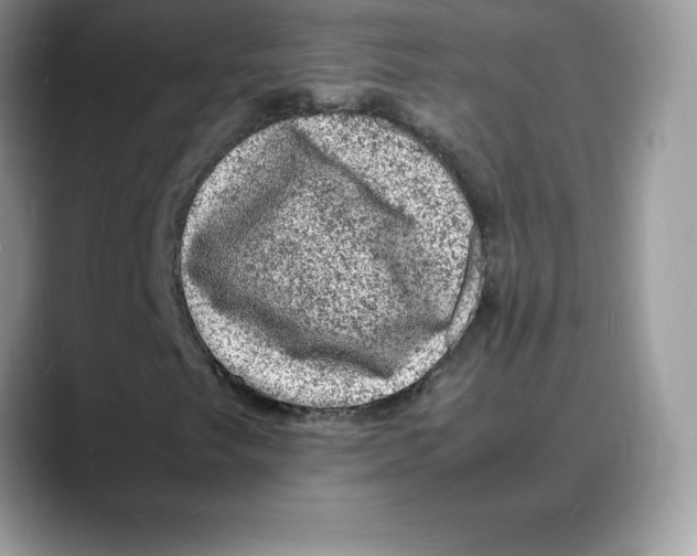 X0000088031249200706081454