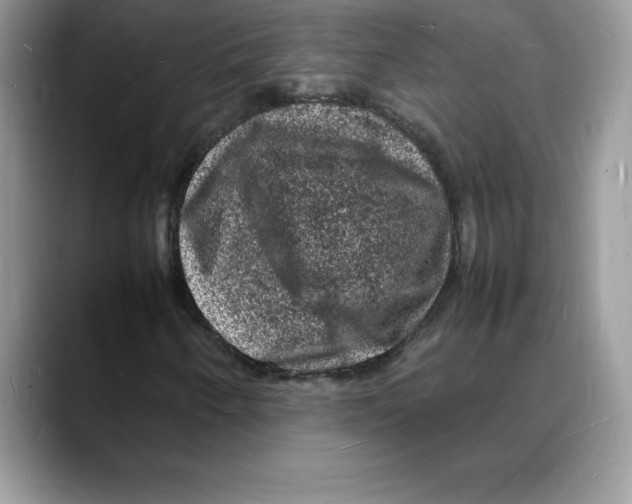 X0000088031250200706081454