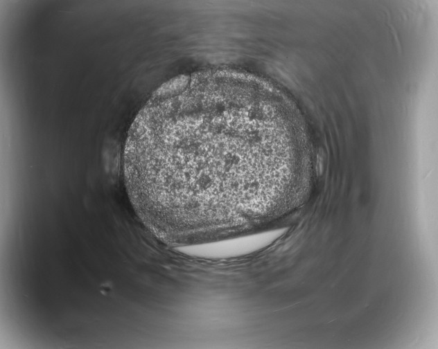 X0000088031251200706081454