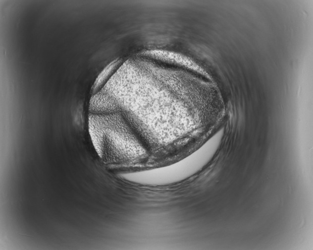 X0000088031252200706081454