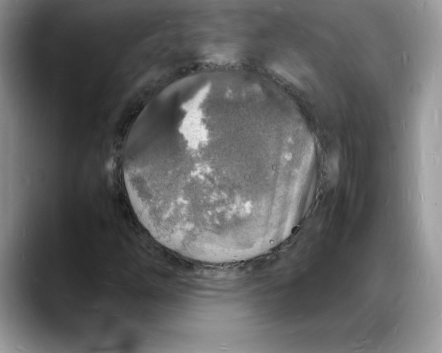 X0000088031254200706081454