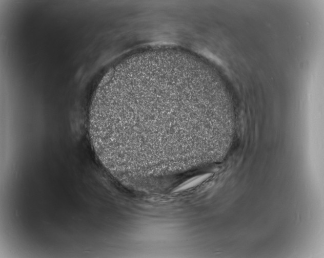 X0000088031255200706081454