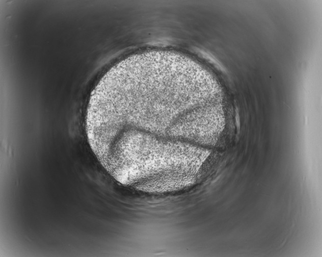 X0000088031256200706081454