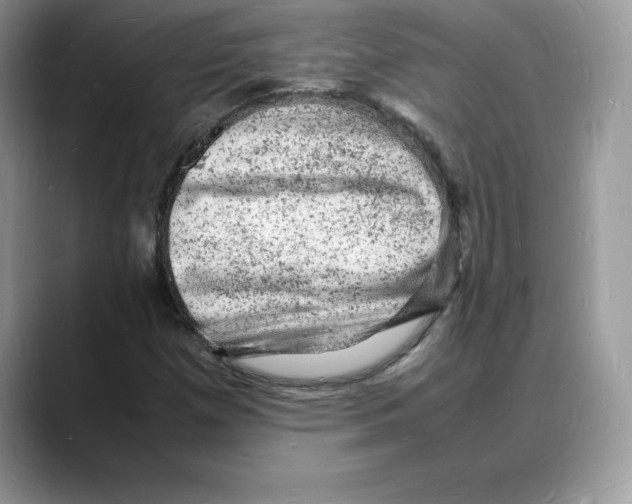 X0000088031257200706081454