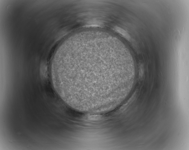 X0000088031258200706081454