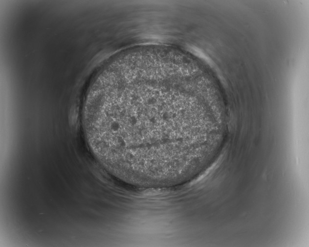 X0000088031259200706081454