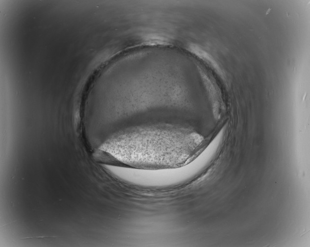 X0000088031261200706081454