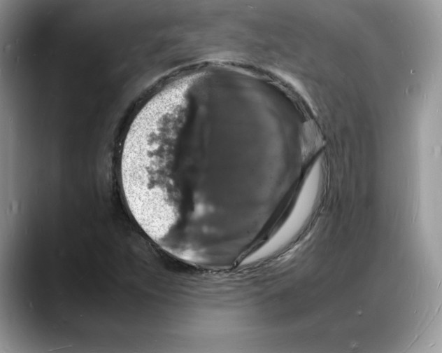 X0000088031263200706081454