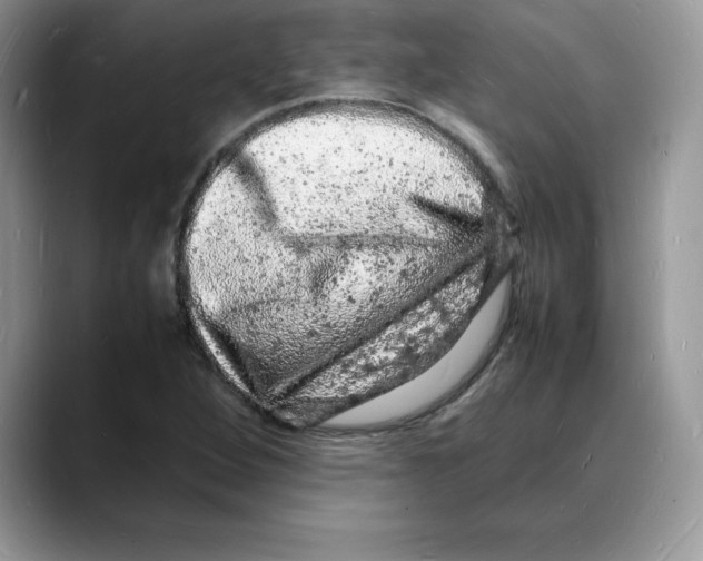 X0000088031264200706081454