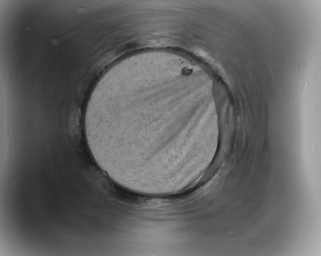 X0000088031265200706081454