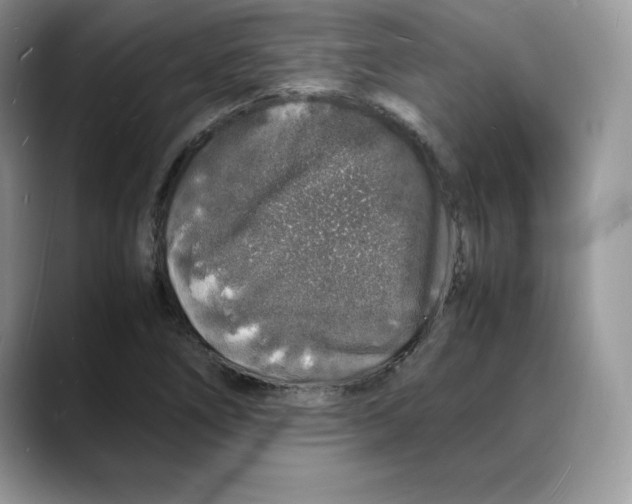 X0000088031266200706081454