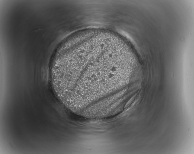 X0000088031267200706081454