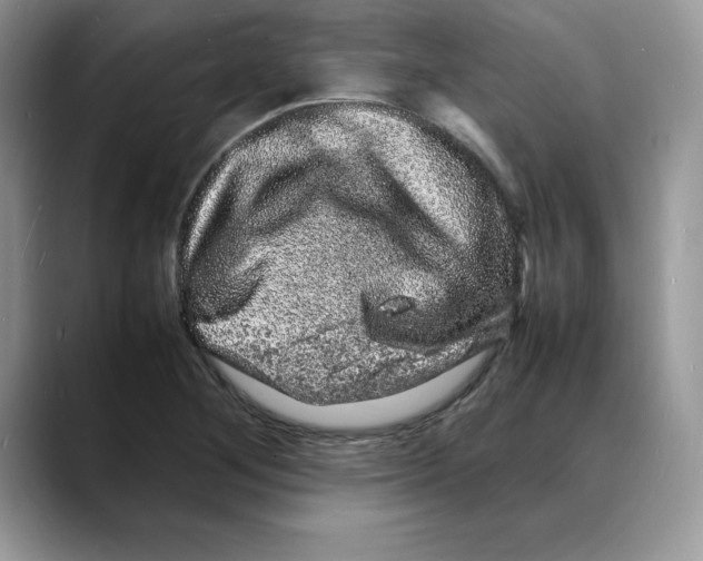 X0000088031268200706081454