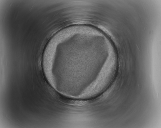 X0000088031273200706081454