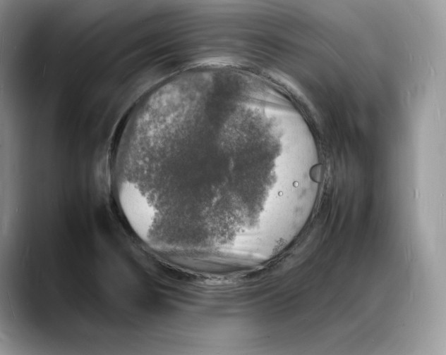 X0000088031274200706081454