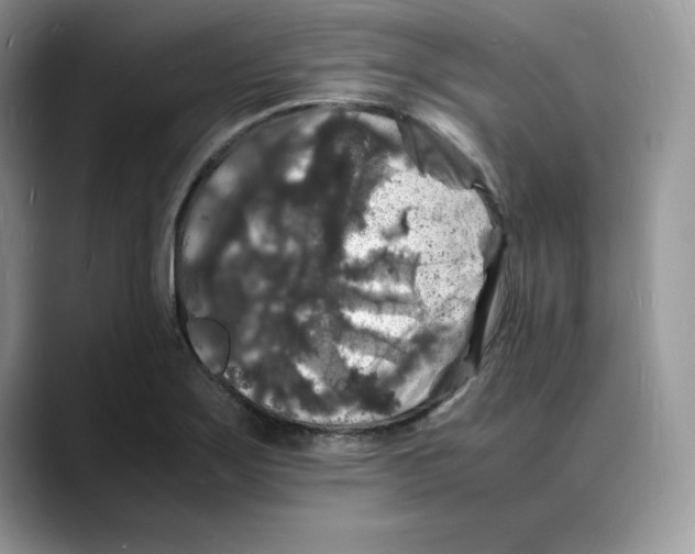 X0000088031275200706081454