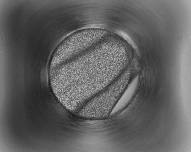 X0000088031276200706081454