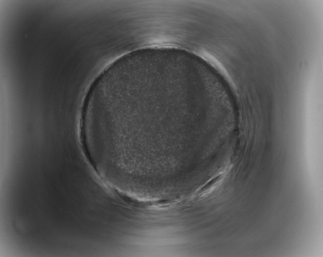 X0000088031277200706081454