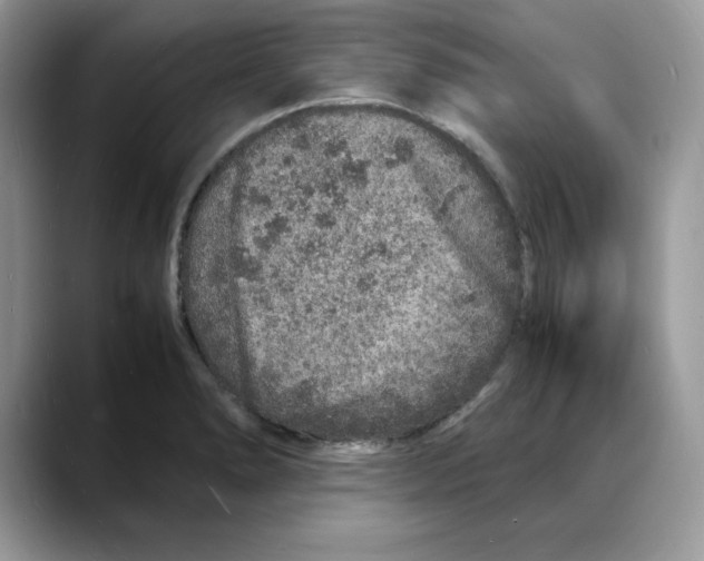 X0000088031278200706081454