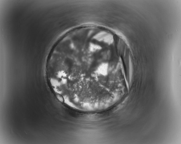 X0000088031279200706081454