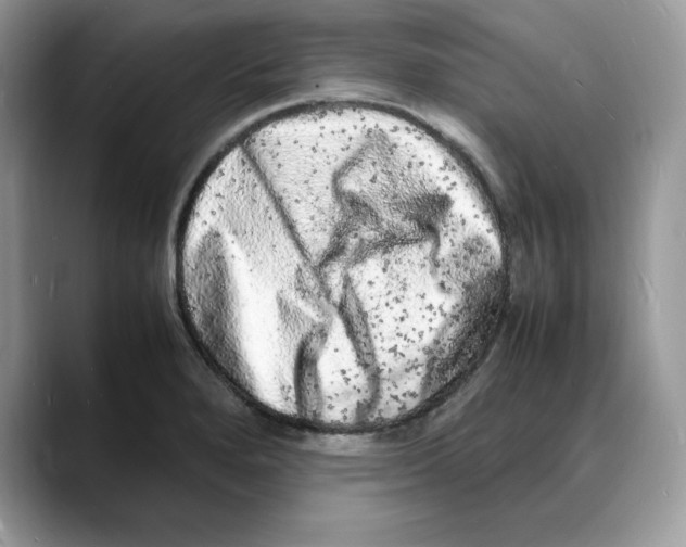 X0000088031280200706081454