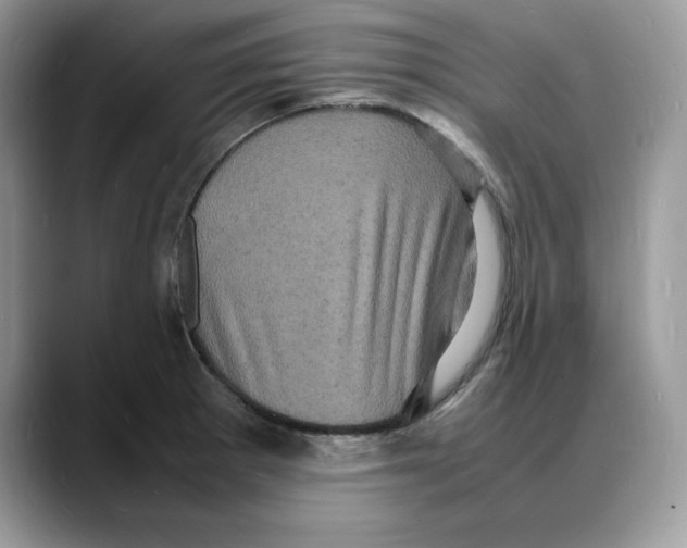X0000088031281200706081454