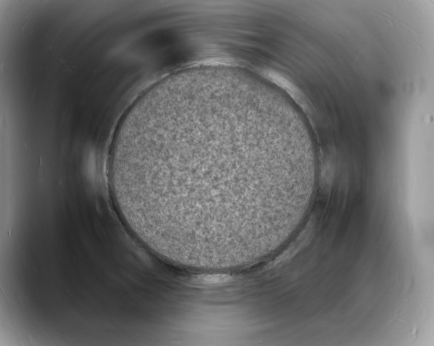 X0000088031282200706081454