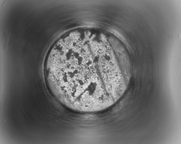 X0000088031283200706081454