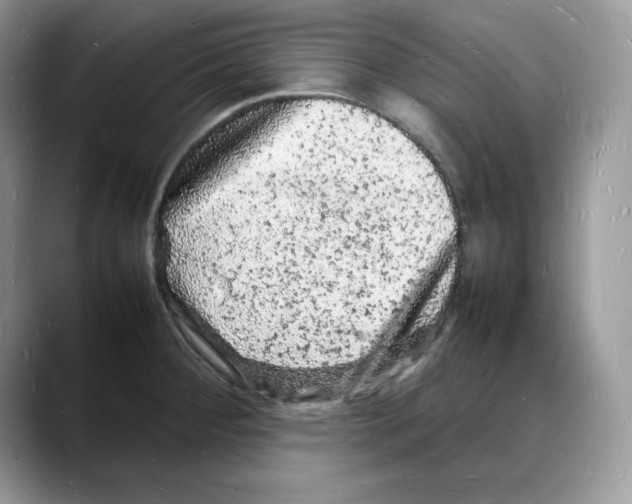 X0000088031284200706081454