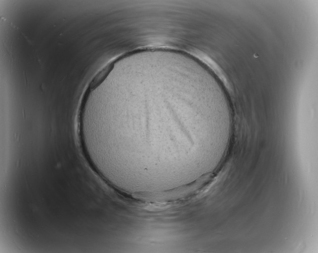 X0000088031285200706081454