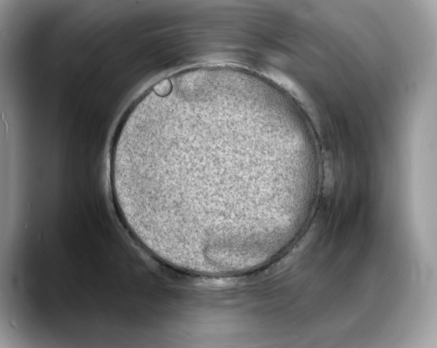 X0000088031286200706081454