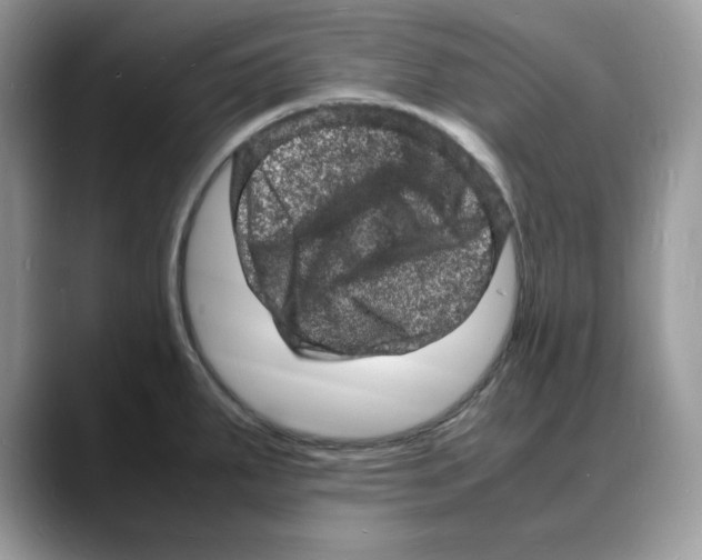 X0000088031287200706081454