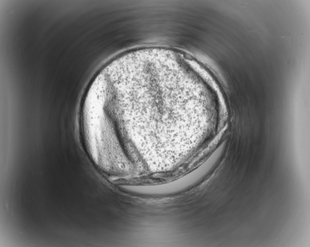 X0000088031288200706081454