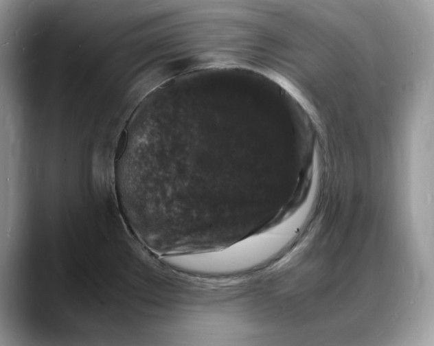 X0000088031289200706081454