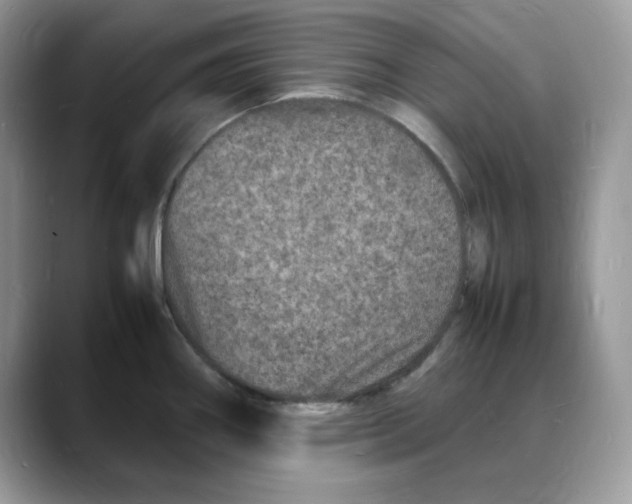 X0000088031290200706081454